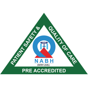 Nabh Logo 01
